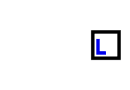Lichtbild